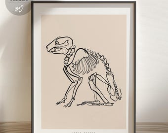 May include: A line drawing of a rabbit skeleton in black on a light beige background. The text "LEPUS OSSEUS" is printed below the image.