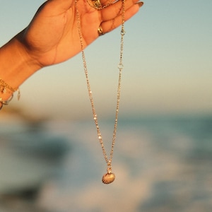 Golden Shell Necklace — Gold Plated