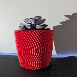 plant pot