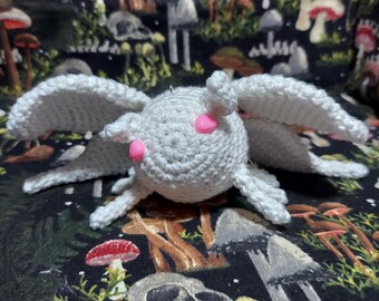Albino moth