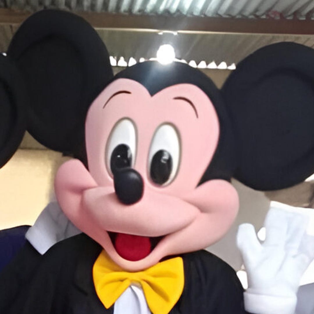 Mickey Mouse Mascot for Birthdays and Deluxe Parties - Etsy