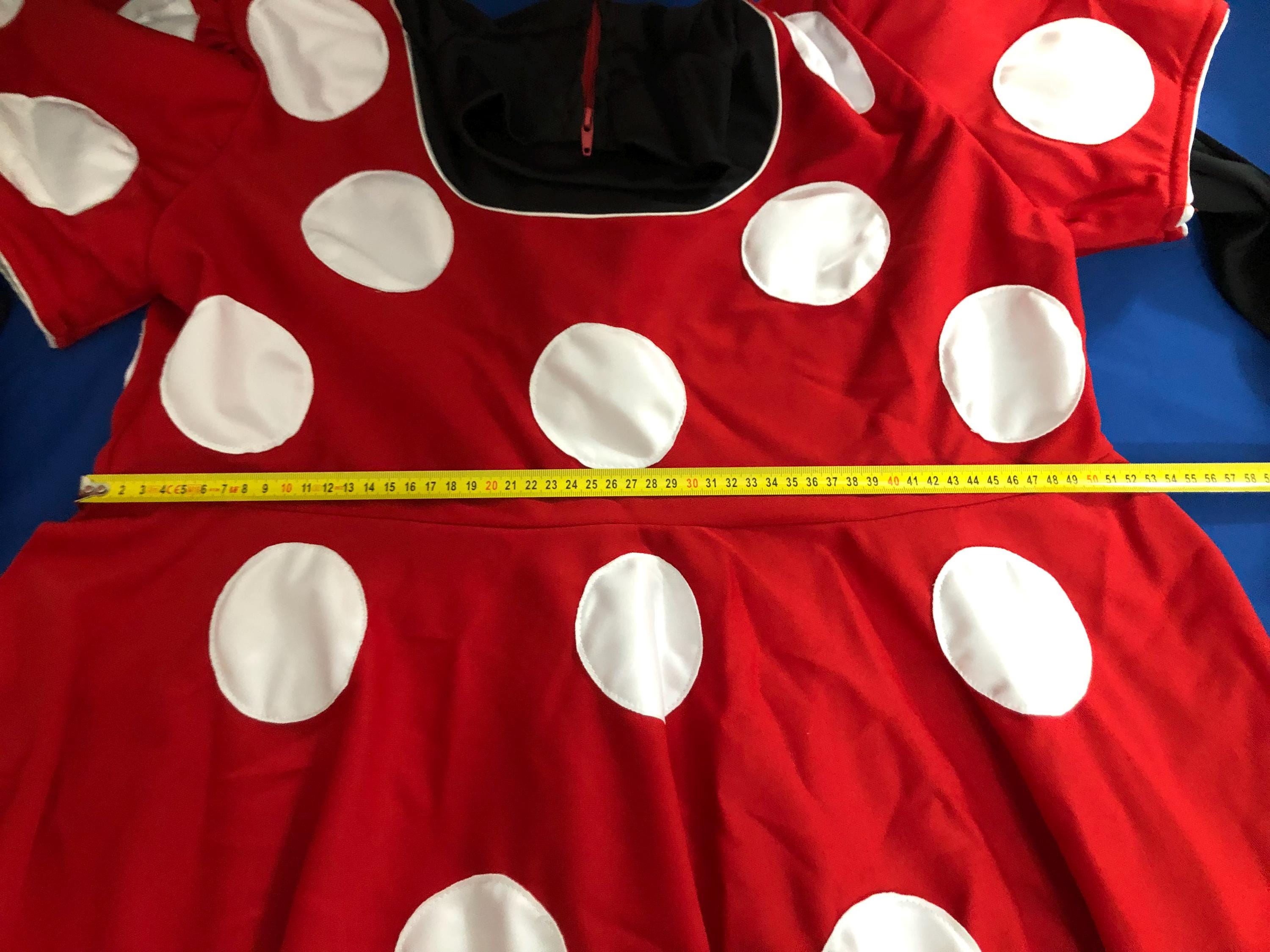 Deluxe Minnie and Mickey Mouse Mascots for Birthdays and Parties - Etsy