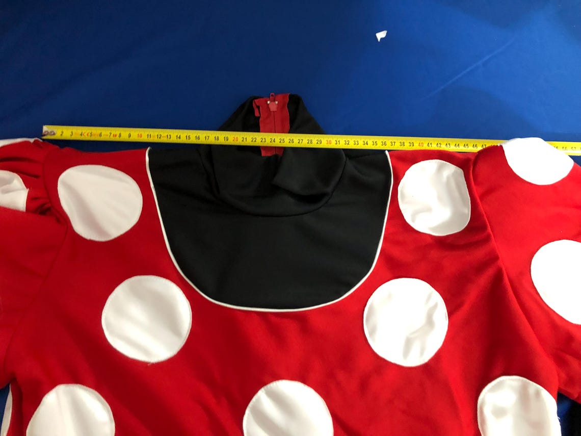 Deluxe Minnie and Mickey Mouse Mascots for Birthdays and Parties - Etsy