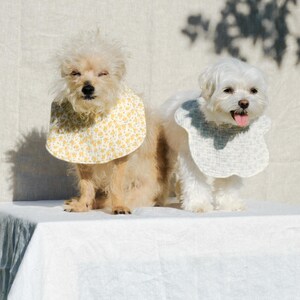 Pu&ograve; includere: Due piccoli cani indossano bavaglini in tessuto. Il cane a sinistra indossa un bavaglino giallo con un piccolo motivo floreale bianco. Il cane a destra indossa un bavaglino grigio chiaro con un sottile motivo a quadri bianchi e bordo smerlato.