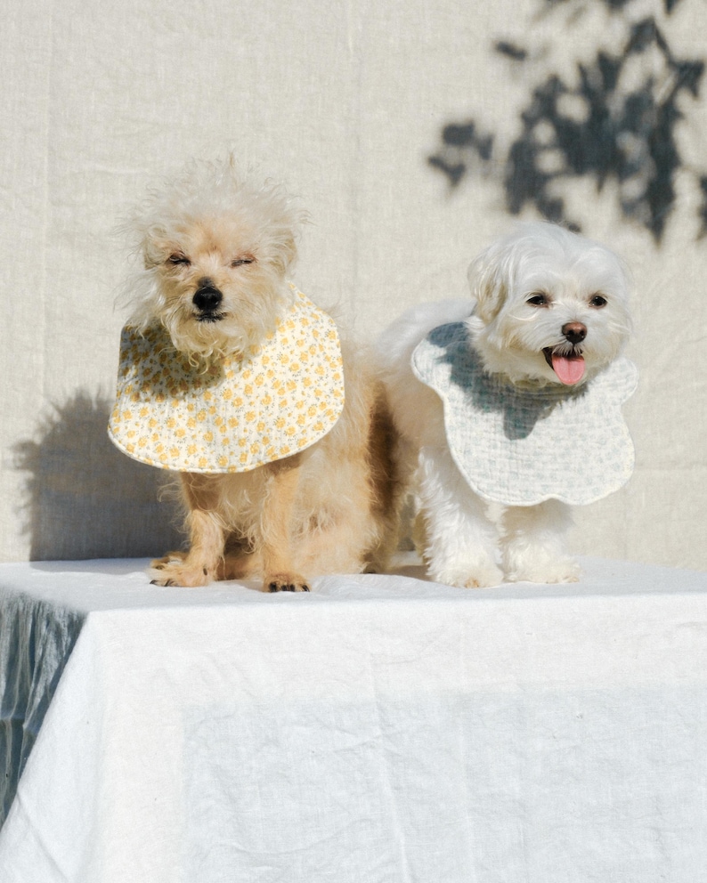 Pu&ograve; includere: Due piccoli cani indossano bavaglini in tessuto. Il cane a sinistra indossa un bavaglino giallo con un piccolo motivo floreale bianco. Il cane a destra indossa un bavaglino grigio chiaro con un sottile motivo a quadri bianchi e bordo smerlato.