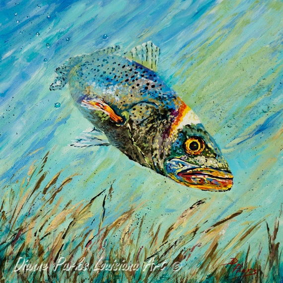 Louisiana Speckled Trout, Marine Art, Trout Painting, Louisiana,  Mississippi Gulf Coast, Fish Fishing, Gift for Him 'louisiana Speckled' -   Canada