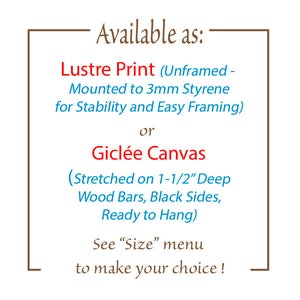 Information about choice of print or canvas.