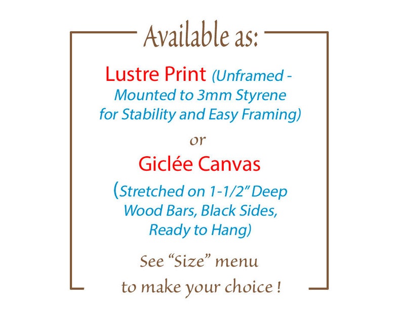 Information about choice of print or canvas.