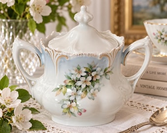 Antique RS Prussia 1900 1910 Hand Painted Floral Covered Sugar Bowl Blue Gold Porcelain