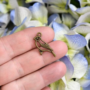 10  Bird Bronze Tone Charms BC3578