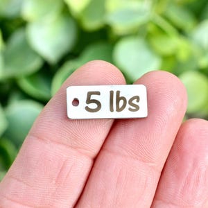 May include: A small, rectangular, silver-coloured metal charm featuring the engraved text "5 lbs" in a dark, sans-serif font. The charm has a single circular hole on the left side for attachment, with a smooth, polished surface finish.