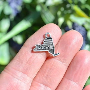 5 State of New York Silver Tone Charms SC6024