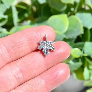 May include: A silver maple leaf charm pendant. The leaf is detailed and has a realistic look.