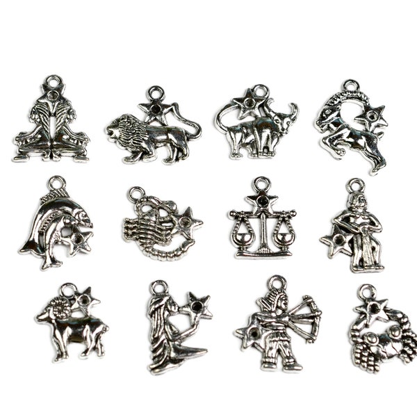 12 Piece  Zodiac Silver Tone Charm Set SC5611