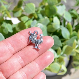 5 Rooster Silver Tone Chicken Charms SC6551