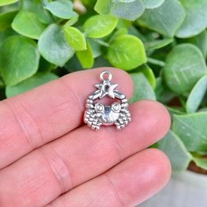 BULK 20 Cancer Zodiac  Silver Tone Charm SC2268