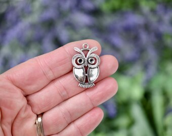 5   Owl Silver Tone Charms SC2948