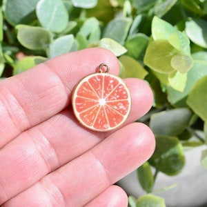 5 Tranches de pamplemousse ou d'orange sanguine GC4201