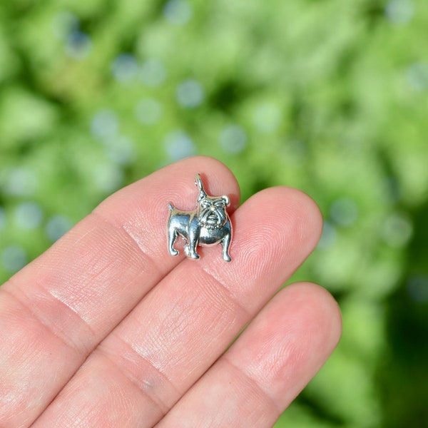 BULK 50  English Bull Dog Silver Tone Charms SC6111