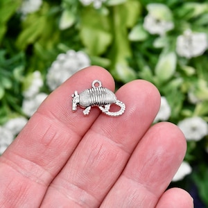 May include: Silver charm shaped like an armadillo. The charm features a textured shell and has a loop for attaching to a necklace or bracelet.
