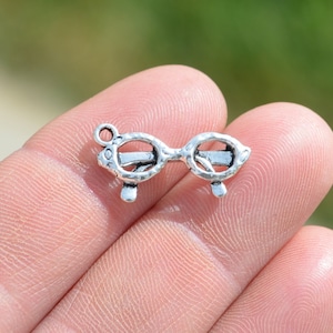 10   Eyeglasses Silver Tone  Charms SC1830