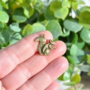 BULK 20  Squirrel  Bronze Tone Charms BC2478