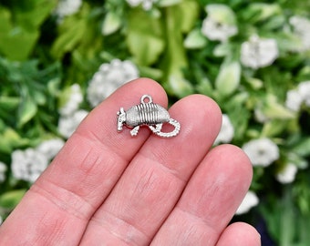 5  Armadillo Silver Tone Double Sided Charms SC2090