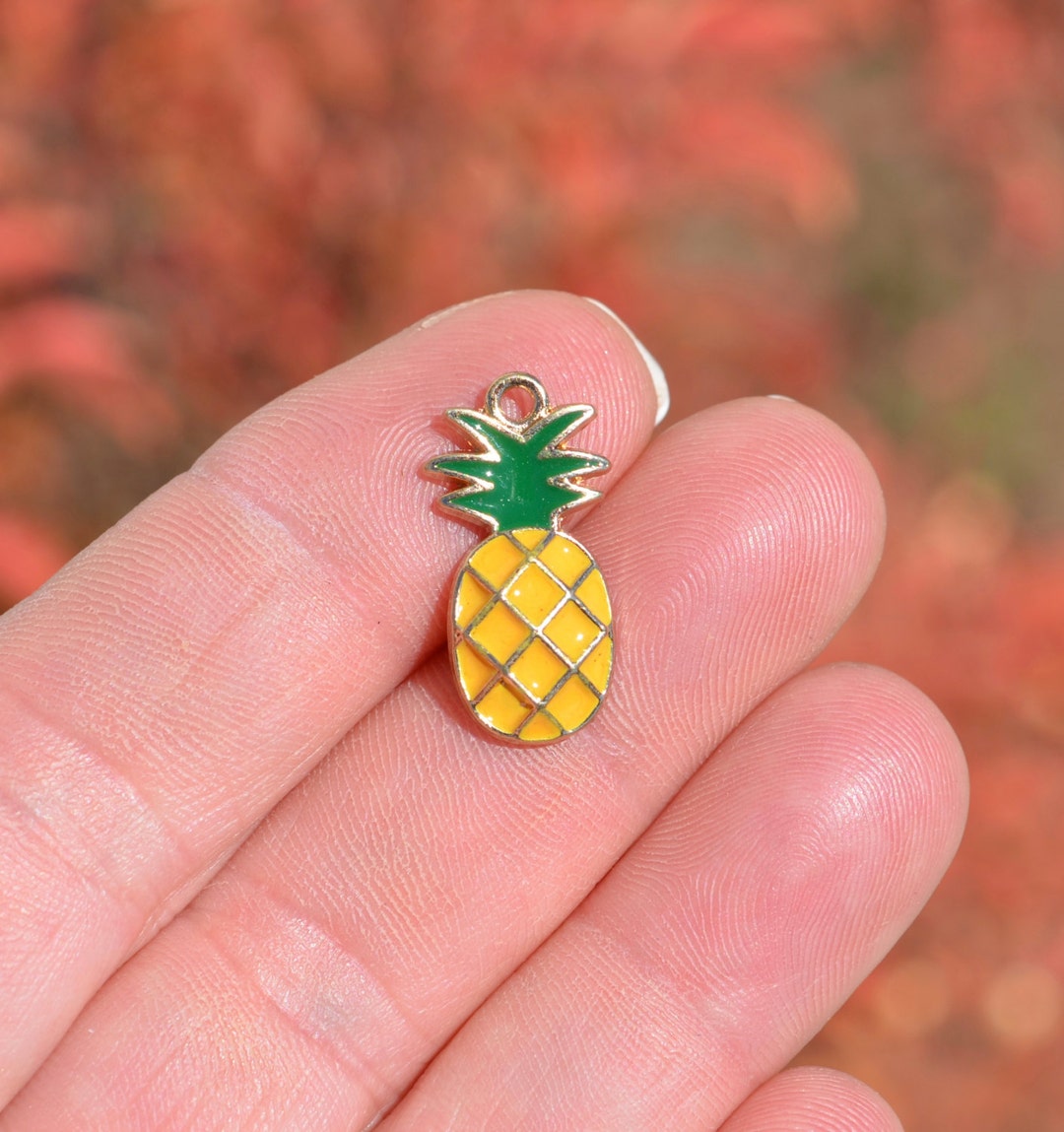 新品✨NEW TOP CHARM PINEAPPLE il_1080xN.996253399_8wtf.jpg