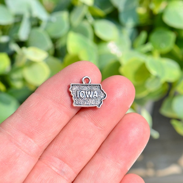 BULK 20  State of Iowa Silver Tone Charms SC2014