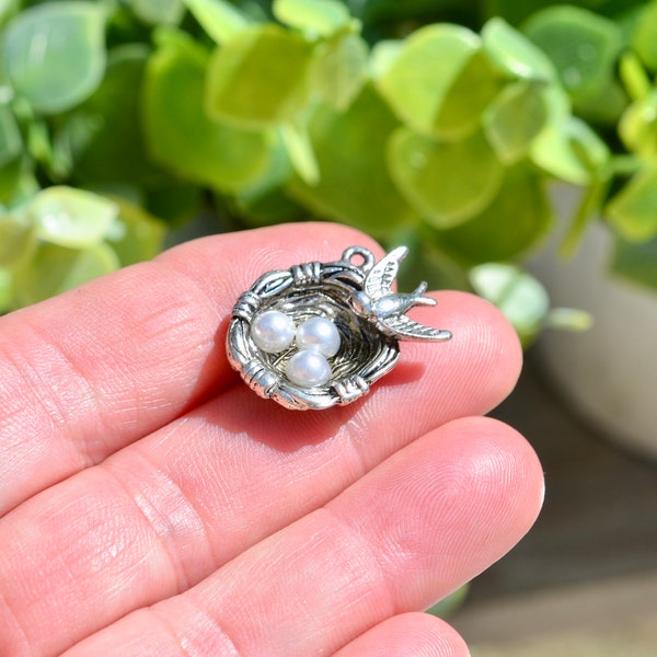 5  Little Mother Bird and Her Eggs 3D Silver Tone Charm SC1370