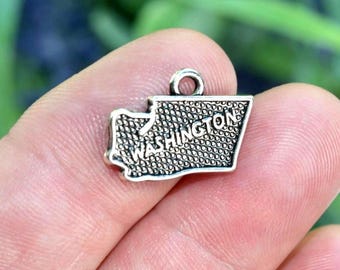 BULK 20 State of Washington Silver Tone Charms SC2141