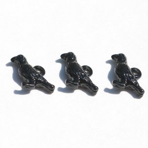 May include: Three black crow buttons with a shiny finish. Each button features a detailed crow design with a small loop at the top.