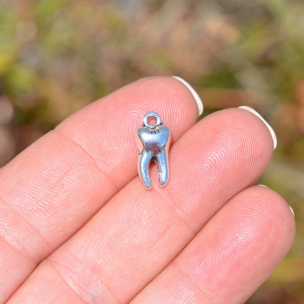 1  Tooth 3D Silver Tone Charm SC3942