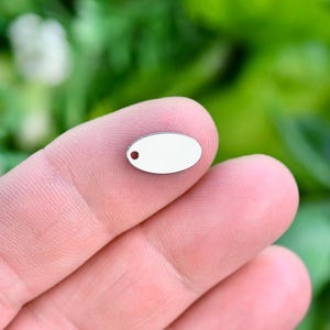 20 Stainless Steel 12mm Oval Blank Tags EB12