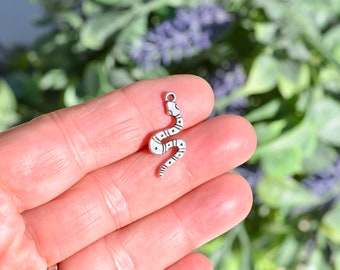 1 Snake Silver Tone Charm SC1939