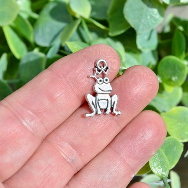 5  Frog Prince Silver Tone Charms SC1302