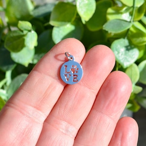 May include: Silver charm with the word "LOVE" spelled out with a paw print in the centre of the "O".