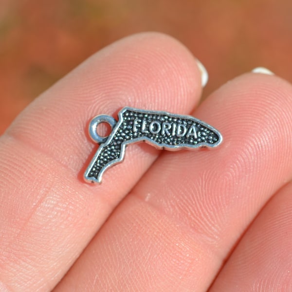 1 State of Florida Silver Tone Charm SC3954