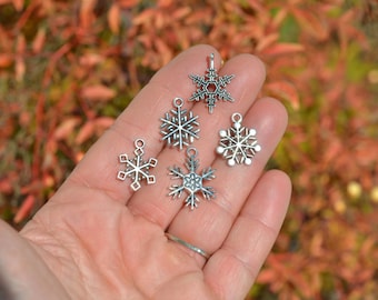 10 Snowflake  Mix  Charm Silver Tone Collection SC5600