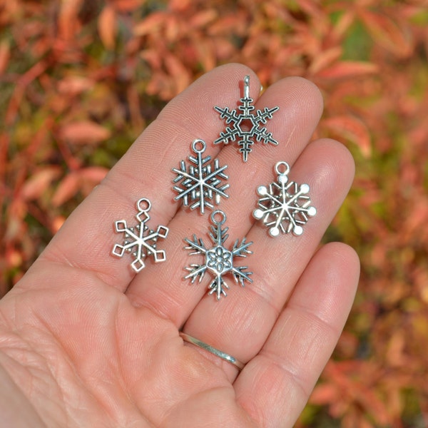 BULK 50  Snowflake Mix Silver Tone Charm Collection SC5600