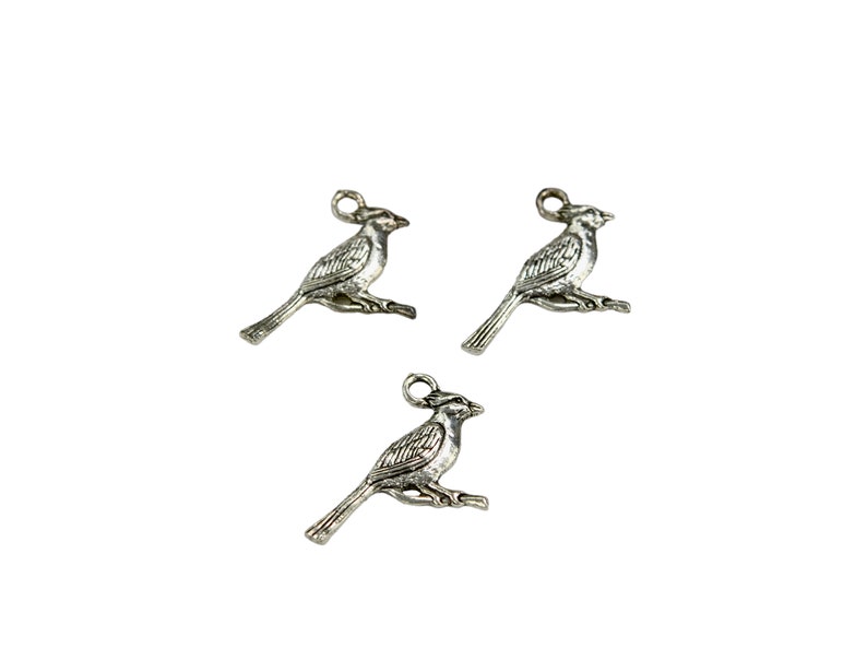 K&ouml;nnte beinhalten: Drei silberne Vogel-Anh&auml;nger aus Metall mit detailliertem Design. Die V&ouml;gel sitzen auf einem Ast mit ausgebreiteten Fl&uuml;geln.