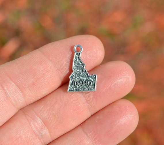 BULK 20  State of Idaho Silver Tone Charms SC3378