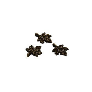 BULK 50 Maple Leaf Bronze Tone Charms BC2807 image 4