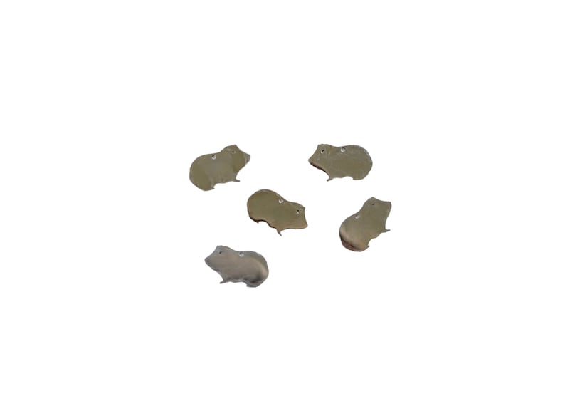 May include: Five silver-colored metal charms shaped like guinea pigs. The charms are all facing the same direction and have a slightly textured surface.