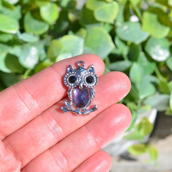 1 Owl Silver Tone with a Amethyst or Purple  Glass Stone Charm SC4046