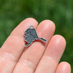 May include: Silver charm shaped like the state of Alaska with the word "Alaska" inscribed on it.