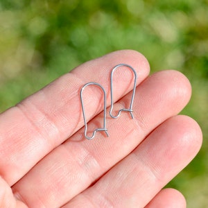 10 Stainless Steel Earring Wire Hooks F198