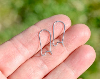 BULK 50 Stainless Steel Earring Wire Hooks F198