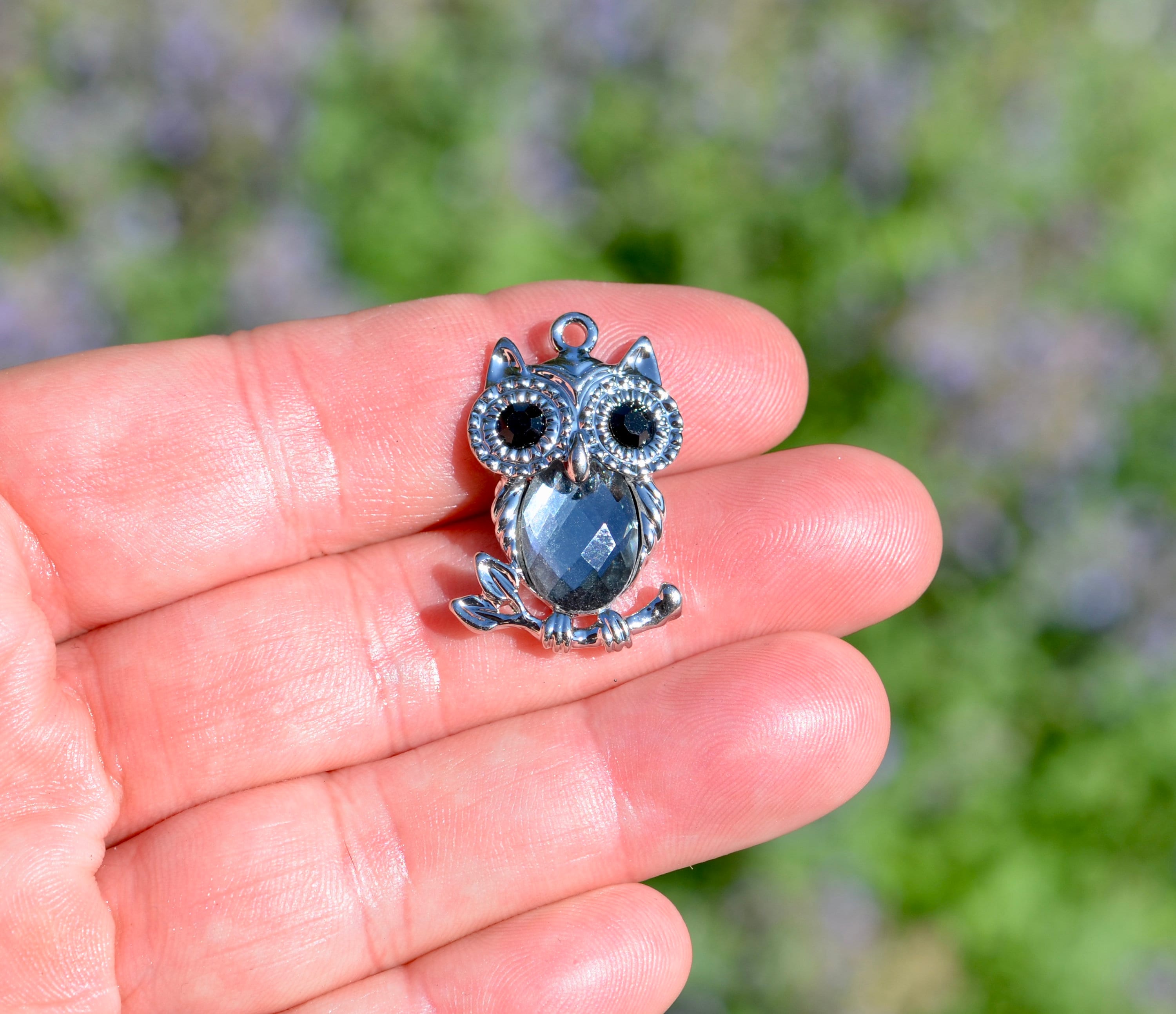 1 Owl Silver Tone with a Dark Gray Glass Stone Charm SC2959