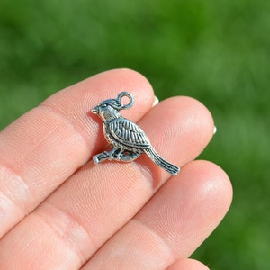 May include: A silver-colored bird charm, perched on a branch, with a loop for hanging. The charm has detailed feather and wing patterns. The bird is held in a hand against a blurred green background.